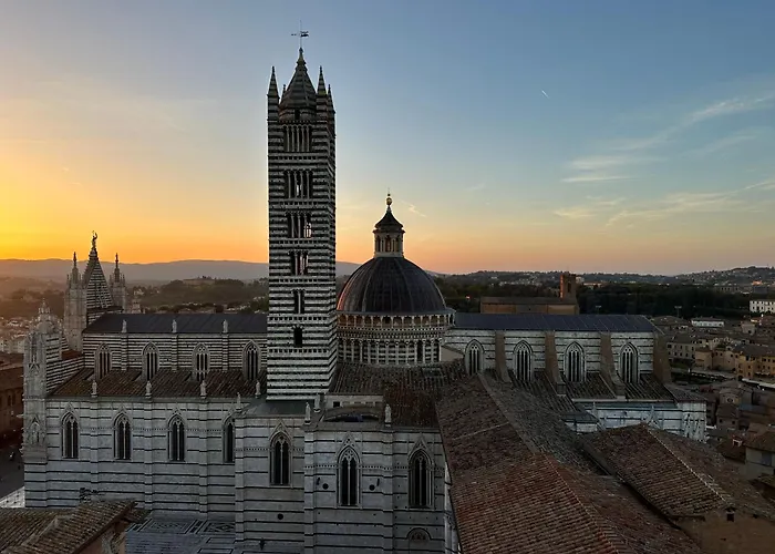 The Cozy In Apartment