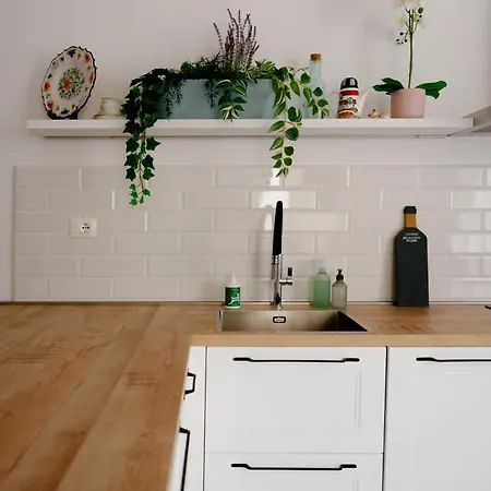 The Cozy In Apartment Siena