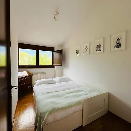 Apartment The Cozy In