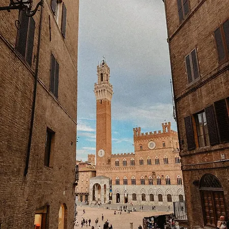 The Cozy In * シエーナ