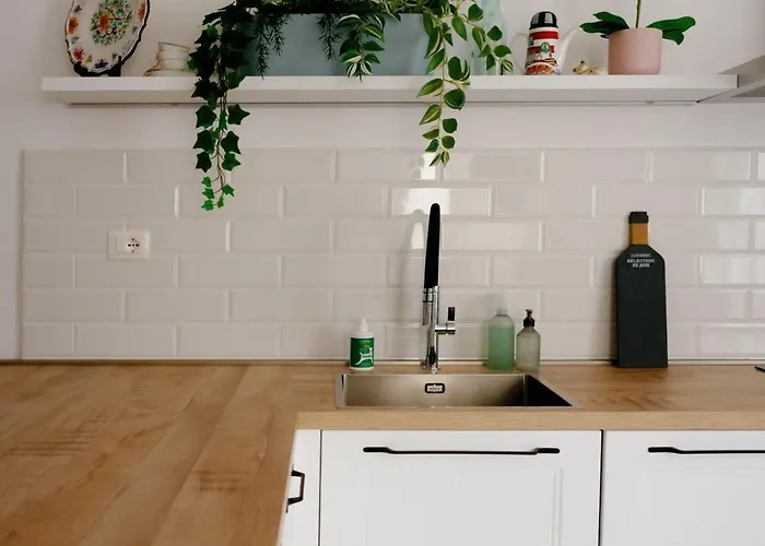 The Cozy In 公寓 锡耶纳